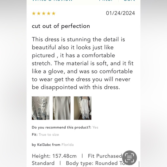 Anthropologie NWT Geisha Designs Cutwork A-Line Maxi Dress size L. - Picture 15 of 15